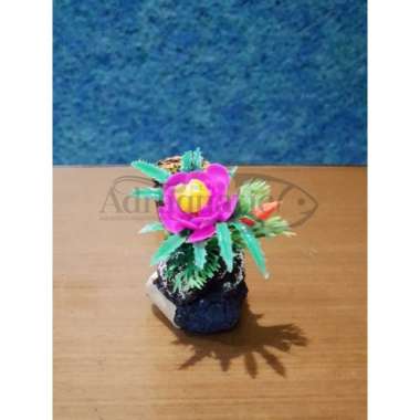 TEBING TUNAS HIASAN AQUARIUM AQUASCAPE