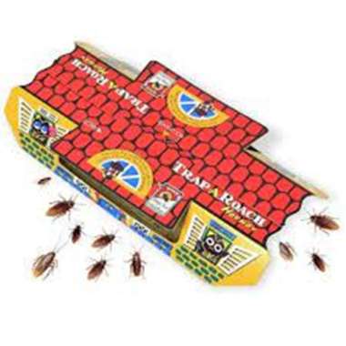 Jual Jebakan Perangkap Kecoa Lem Kecoak Cicak Rumah Mirip Hoy Hoy pest aman Berkualitas