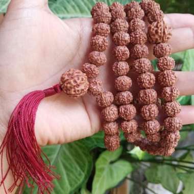 Tasbih Kesehatan Jenitri Rudraksha Genitri