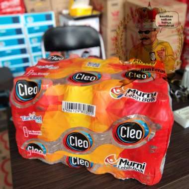Cleo Botol 550ml 24 pcs