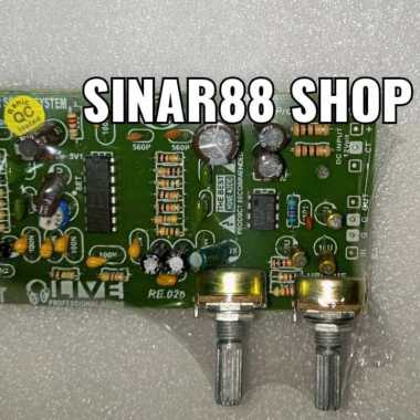 KIT IC ECHO REVERB 2 POTENSIO 326 RANIC