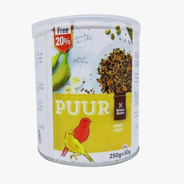 Bulu Lovebird Harga Terbaru Februari 2020 Blibli Com