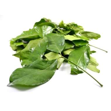 Daun Melinjo 100 Gram