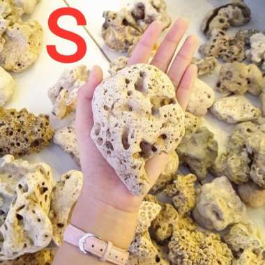 Batu karang laut natural coral anemon dekorasi ornamen aquarium M