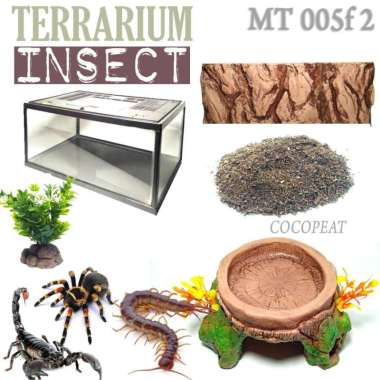 MT005F FULL SET TERRARIUM ENCLOSURE TARANTULA KALAJENGKING KELABANG LABA-LABA LIPAN INSECTA AKUARIUM
