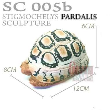 Replika patung pajangan miniatur tortoise Pardalis kura kura darat PARDALIS