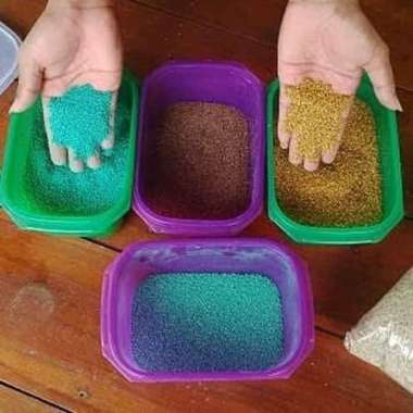 Benih Bibit Biji Rumput Gajah Mini