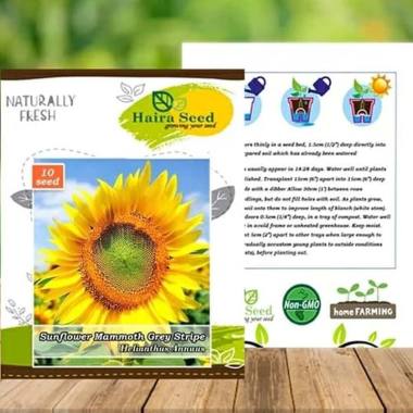 90 An Haira Seed Jual Produk Terbaru Maret 2020 Blibli Com