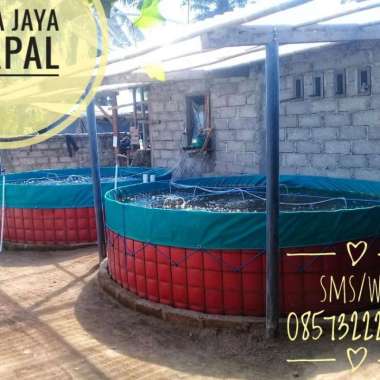 Kolam Bulat Diameter 3m/Kolam Ikan Lele/Kolam Lele Bioflok