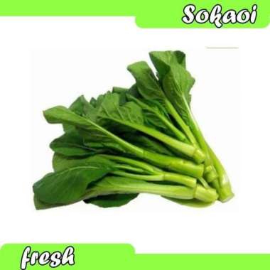 KAILAN SAYUR SEGAR SAYURAN SEGAR