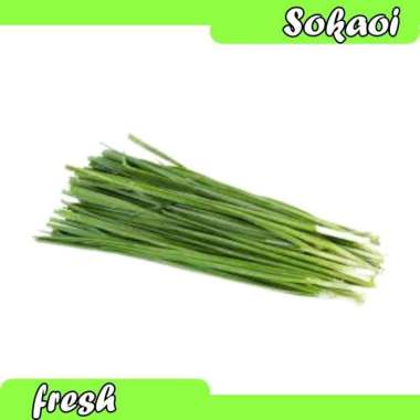 KUCAI DAUN KUCAI BAWANG KUCAI DAUN BAWANG KUCAI SAYUR SEGAR SAYURAN