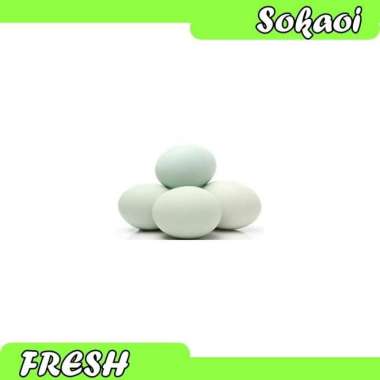 TELUR BEBEK SEGAR TELUR BEBEK FRESH TELUR BEBEK MENTAH