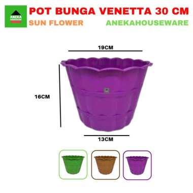 Pot Tanaman Bunga vanetta Motif kayu warna warni 30 - Sun Flower Ungu