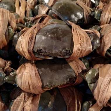 KEPITING DAGING SEGAR HIDUP 4-EKOR 1.0KG