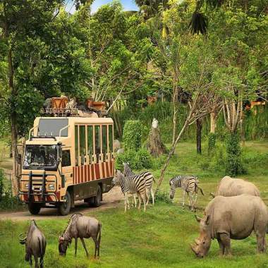 Jual Tiket Taman Safari Terbaru 2020 Harga Termurah Blibli