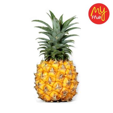 Buah Nanas Produk Berkualitas Harga Diskon Oktober 2020 Blibli Com