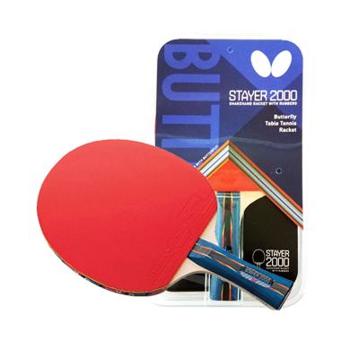 butterfly stayer 2000 bat tenis meja