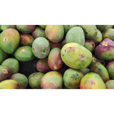 Buah Mangga Irwin