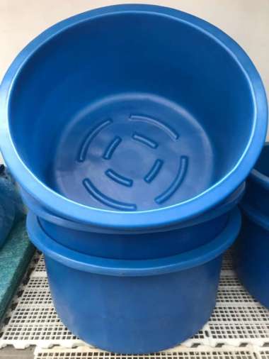 OEM Bak nishikigoi bulat 1 meter , buat foto atau video ikan koi U