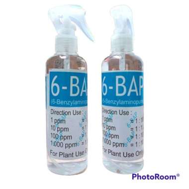 HORMON bap 6-BAP BENZYLAMINO PURIN 10.000 ppm Hormon Pertumbuhan Tunas dan Bunga Anggrek