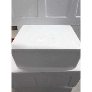 STREOFOAM / BOX PENYIMPANAN FROZEN FOOD MUAT 1 KG
