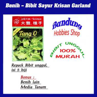 jual kaktus bagus no 16 tanaman kaktus