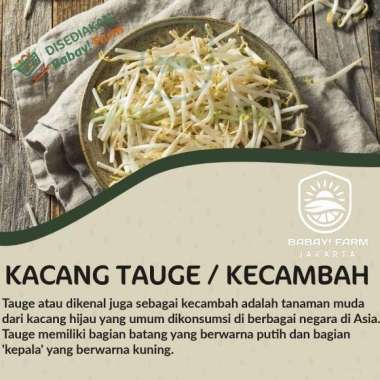 Kacang Tauge Kecambah / Toge Cambah Pendek Rawon / Cambah Kedelai Dele Cambah Kedelai