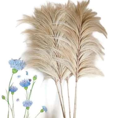 Bunga kering rayung stick jumbo / dried flower / bunga hias