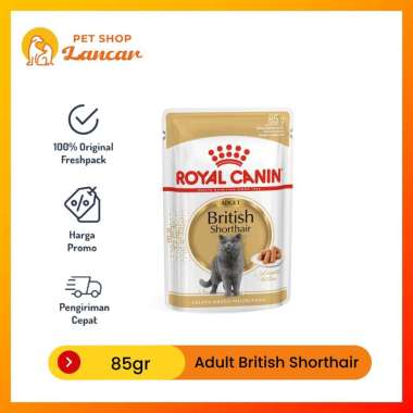 Royal Canin British Shorthair Adult 85g Wet Makanan Kucing Dewasa - Feline Breed Nutrition