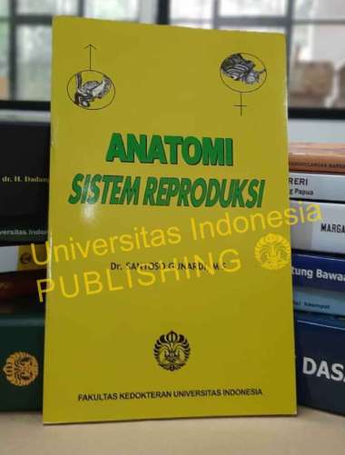 Anatomi Sistem Reproduksi Kuning