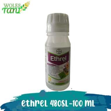 Ethrel 100 ml Pemercepat Masak Buah Putih