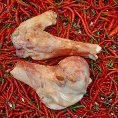 Tulang Sumsum Paha Sapi