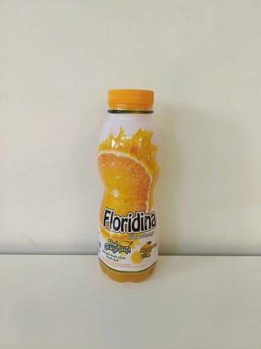 Floridina Minuman Jeruk 350 ml