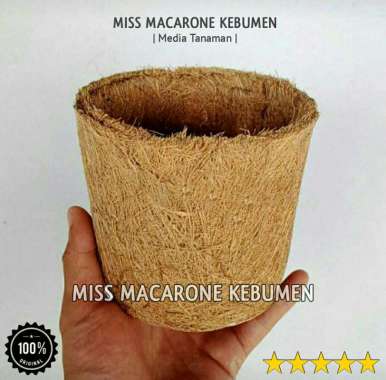 pot anggrek sabut kelapa / pot gelas sabut kelapa / pot kokedama / penyubur bunga anggrek