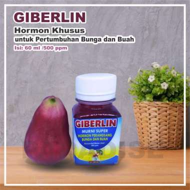 Hormon Pertumbuhan Zpt Giberelin Giberlin Buah Dan Bunga 60 Ml