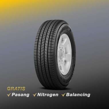 Accelera Omikron HT 245/65 R17 - Ban Mobil