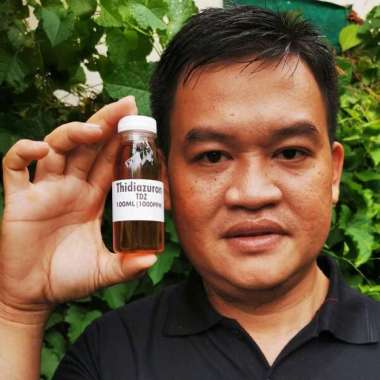 Hormon Tanaman Tidiazuron Thidiazuron TDZ 100ml Kalus Dan Pembelahan Sel