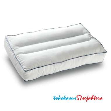 Bantal Dacron Harga Terbaru Agustus 2021 Gratis Ongkir Blibli