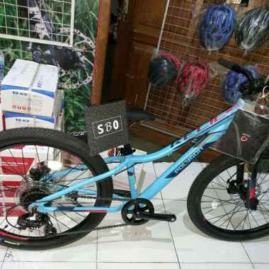 Harga polygon top relic 24