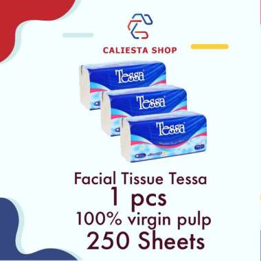 Tessa Natural Soft Facial Tissue 250 Sheets - 2 Ply