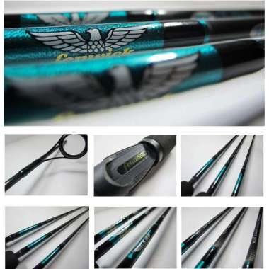 ROD FENWICK IRON CLAW ICJ