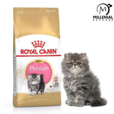 Makanan Kucing Royal Canin Kitten Persian 4kg 4 Kg Persia Anakan
