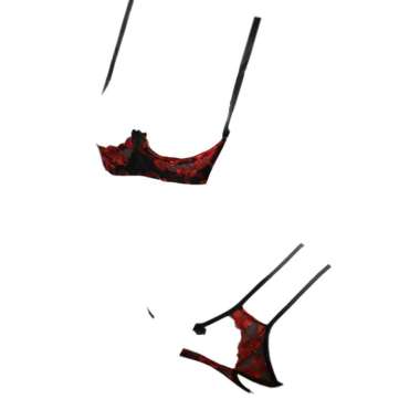 B309 - Bikini Bra Set Hitam Transparan Bordir Bunga Merah Bra Kawat