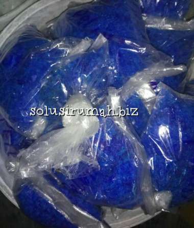 TERUSI PRUSI PERUSI ANTI LUMUT BIRU kimia kolam