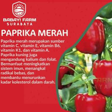 Paprika Merah - 1 KG