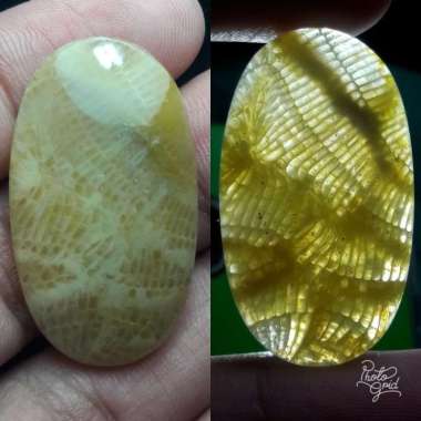 Natural Batu Akik Motif Gambar Teratai Lipan Antik