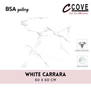 GRANIT COVE 60X60 WHITE CARRARA / GRANITE TILE GLAZED POLISHED