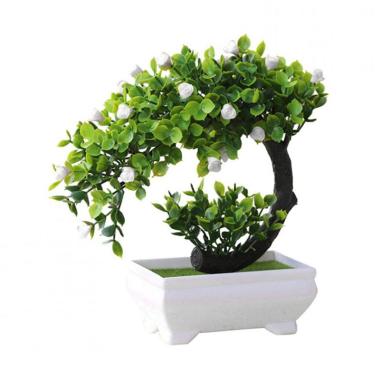 Jual Eds Cat Grass Plant Herb Edible Lemongrass Mint Kitchen Vegetable Bonsai Included Pot Soil 80 G Online Agustus 2020 Blibli Com
