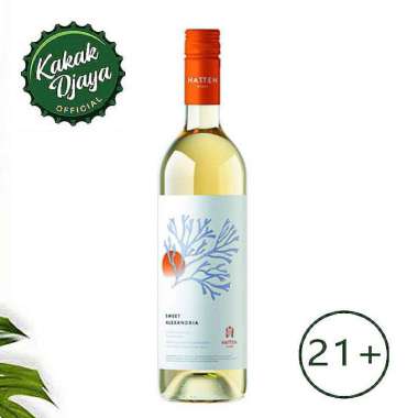 Jual Warna Wine Original Murah - Harga Diskon Januari 2023 ...