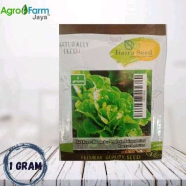 Haira Seed Selada Green Romaine Parris Island Cos Benih Tanaman